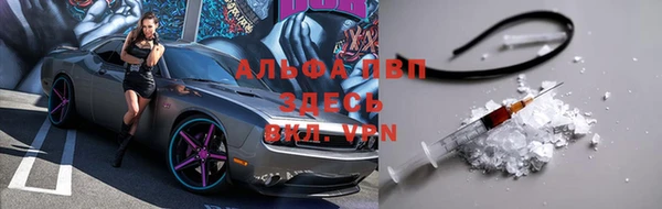 гашик Аркадак