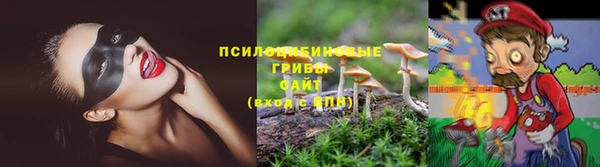 гашик Аркадак