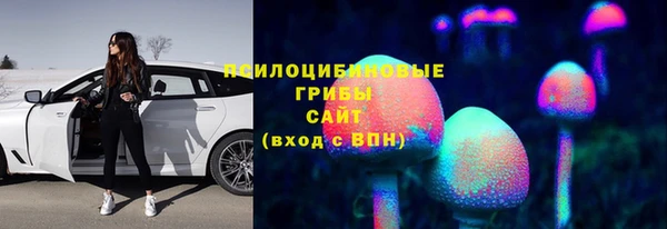 гашик Аркадак