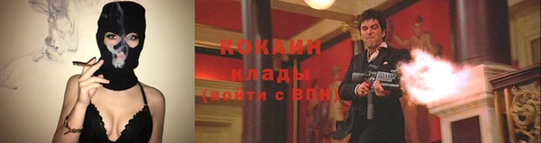 гашик Аркадак