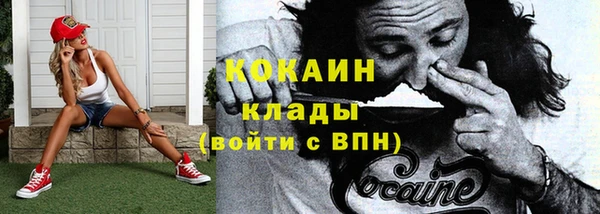 гашик Аркадак