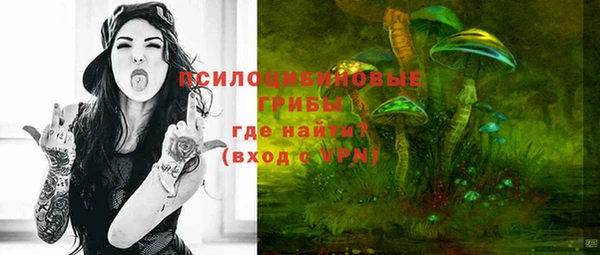 гашик Аркадак