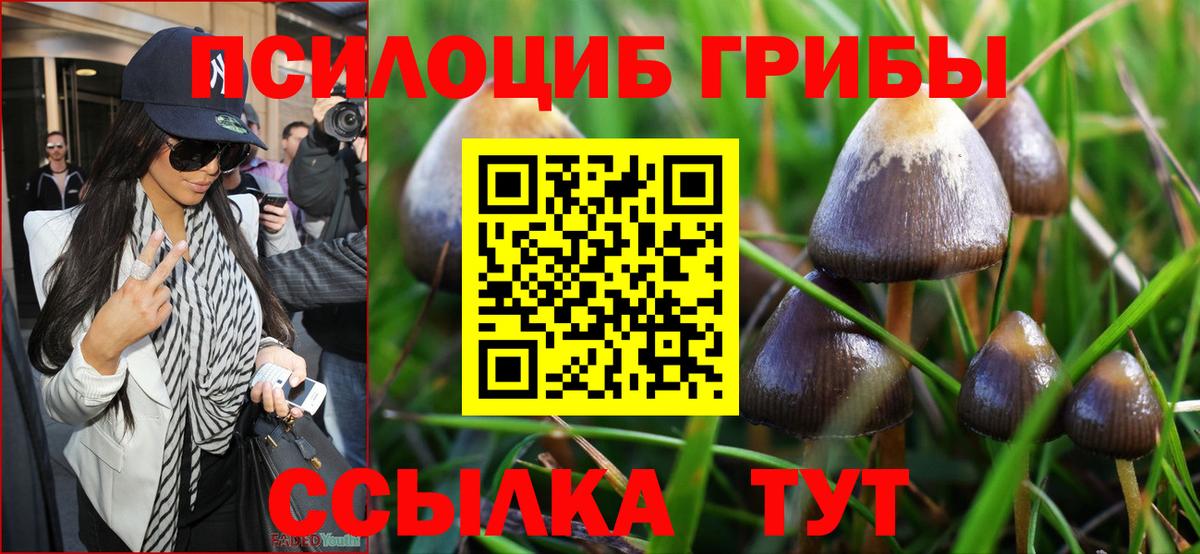 Первоуральск  хочу наркоту  Вход с VPN  Псилоцибиновые грибы GOLDEN TEACHER 